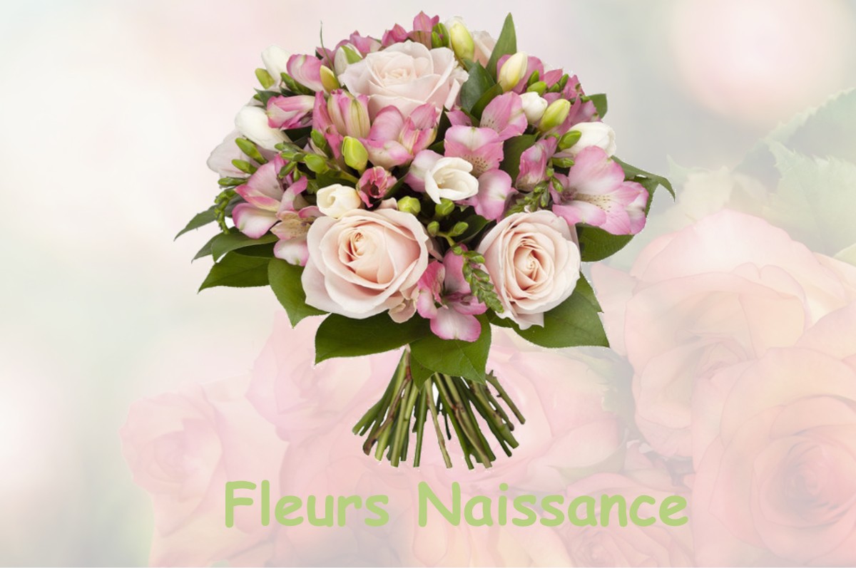 fleurs naissance SAINT-NAZAIRE-DE-VALENTANE